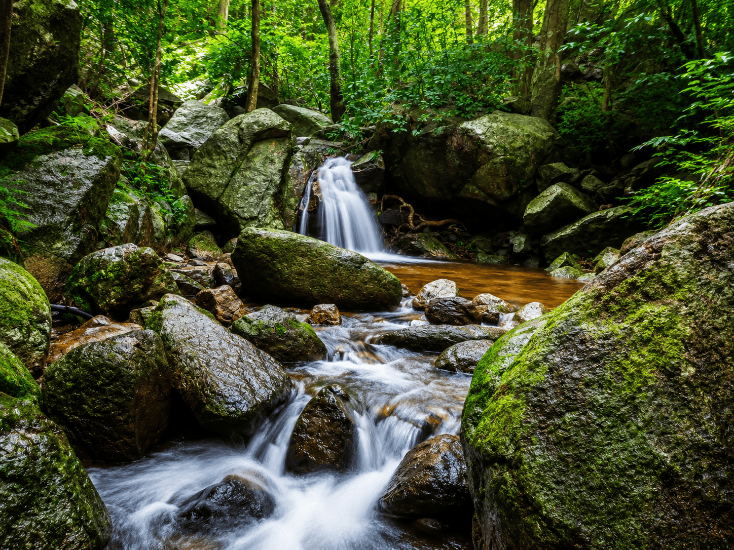 Chan Ta Then Waterfall